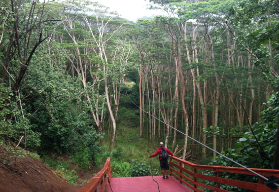 With you hawaii teen farm programs nice Matchless hawaii teen farm programs impossible